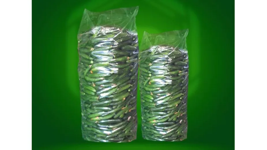 کیسه خیاری