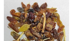 دستگاه سورتینگ کشمش