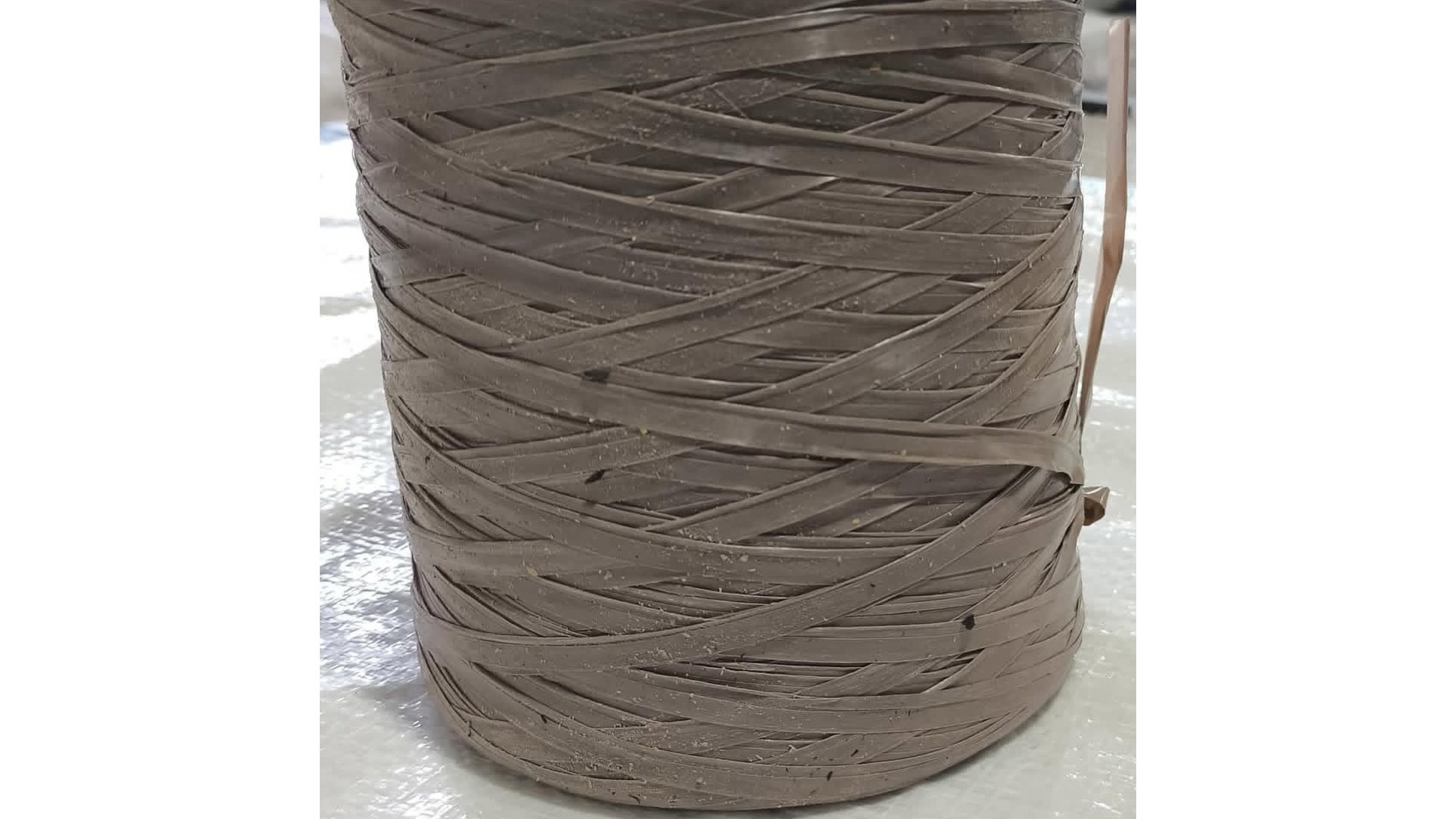 نخ و طناب شبدیز