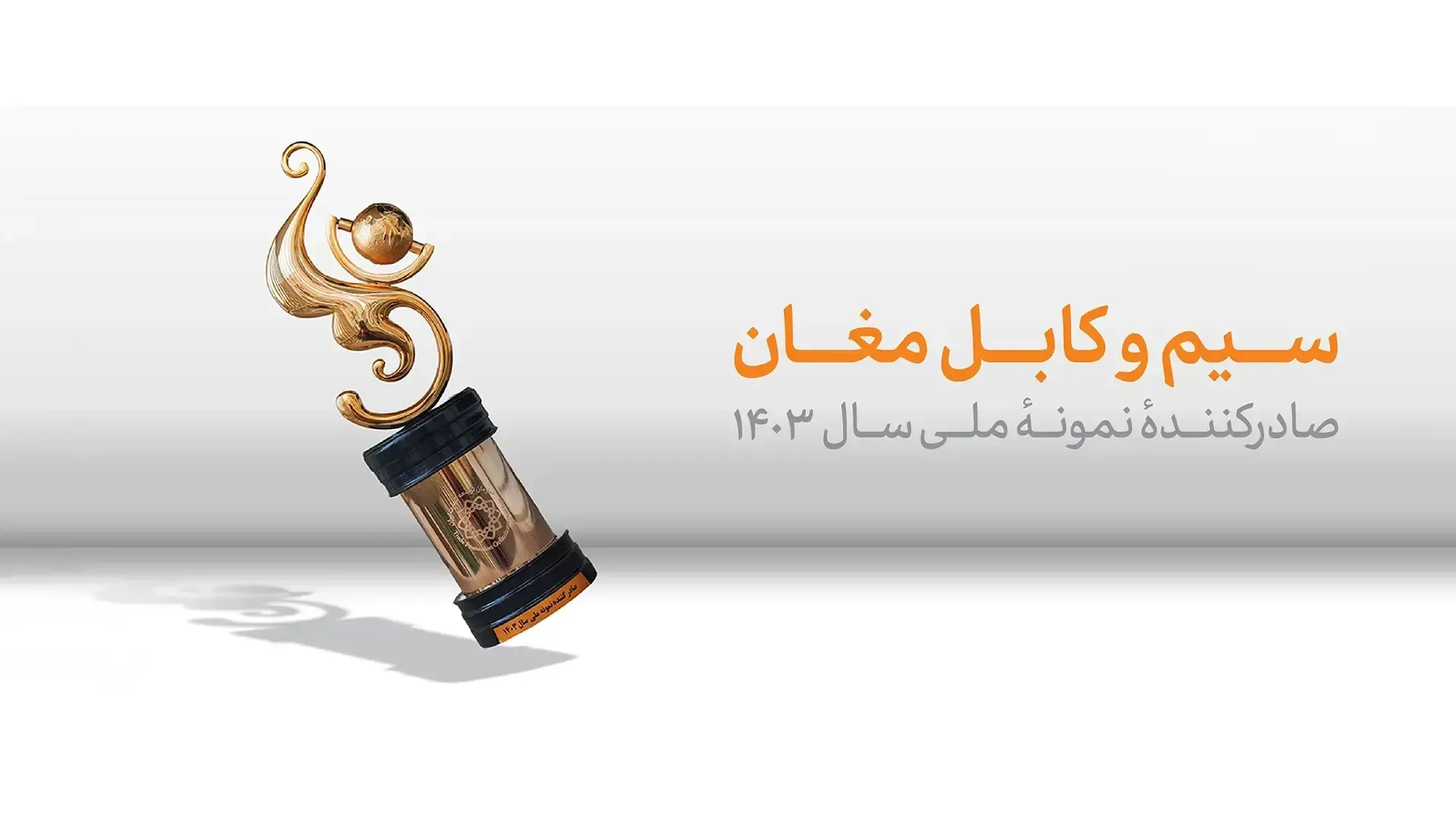 سیم وکابل مغان