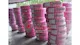 پایا پکس