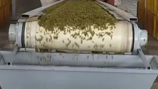 دستگاه سورتینگ کشمش