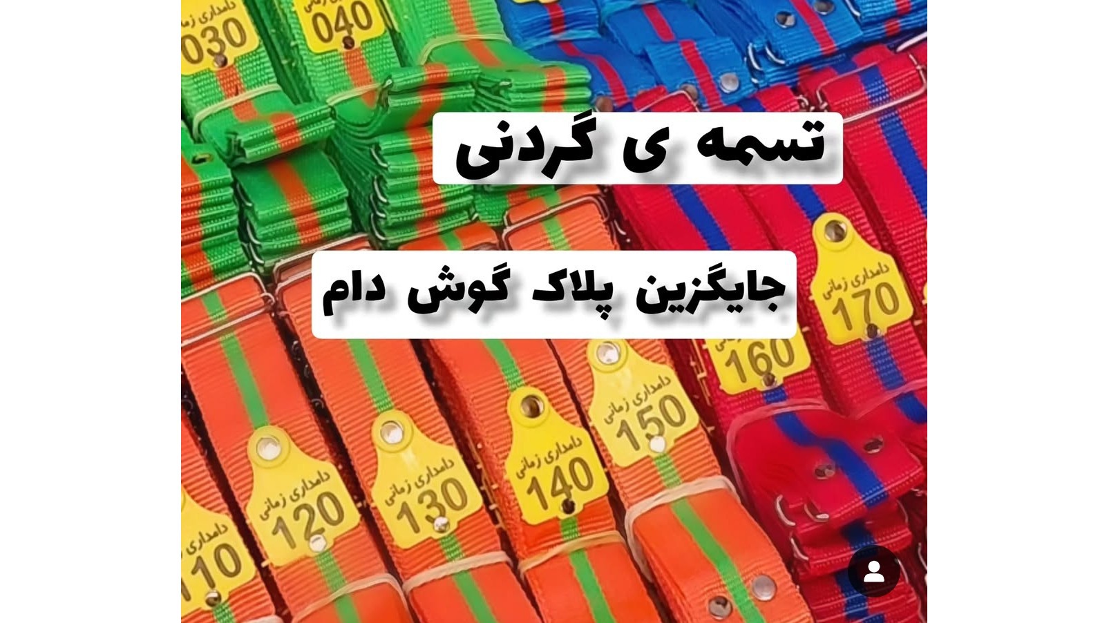 ری دام گستر گیتی