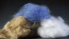الیاف و رشته ها