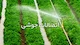 اتصالات کاوه گستر