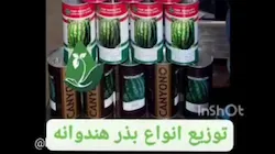 فروشگاه ابراهیمی