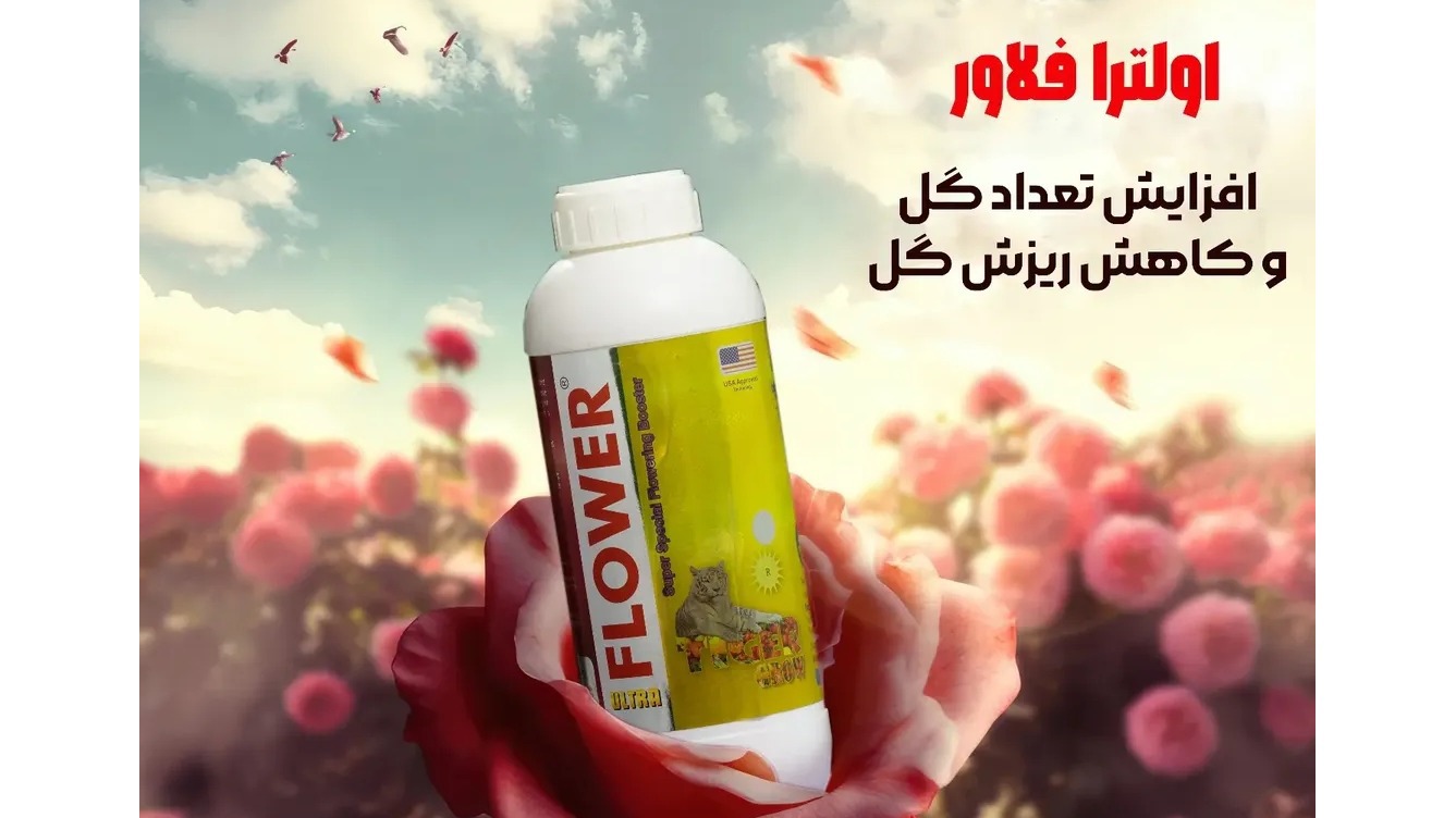 زمرد سبز کویر