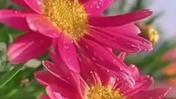 خدمات آموزش مالی و حسابداری با ده ماه سابقه کار آموزشی و ده ماه تجربه عملی