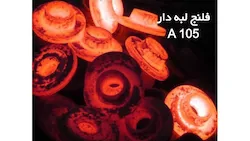 مهندسی دانا انرژی البرز
