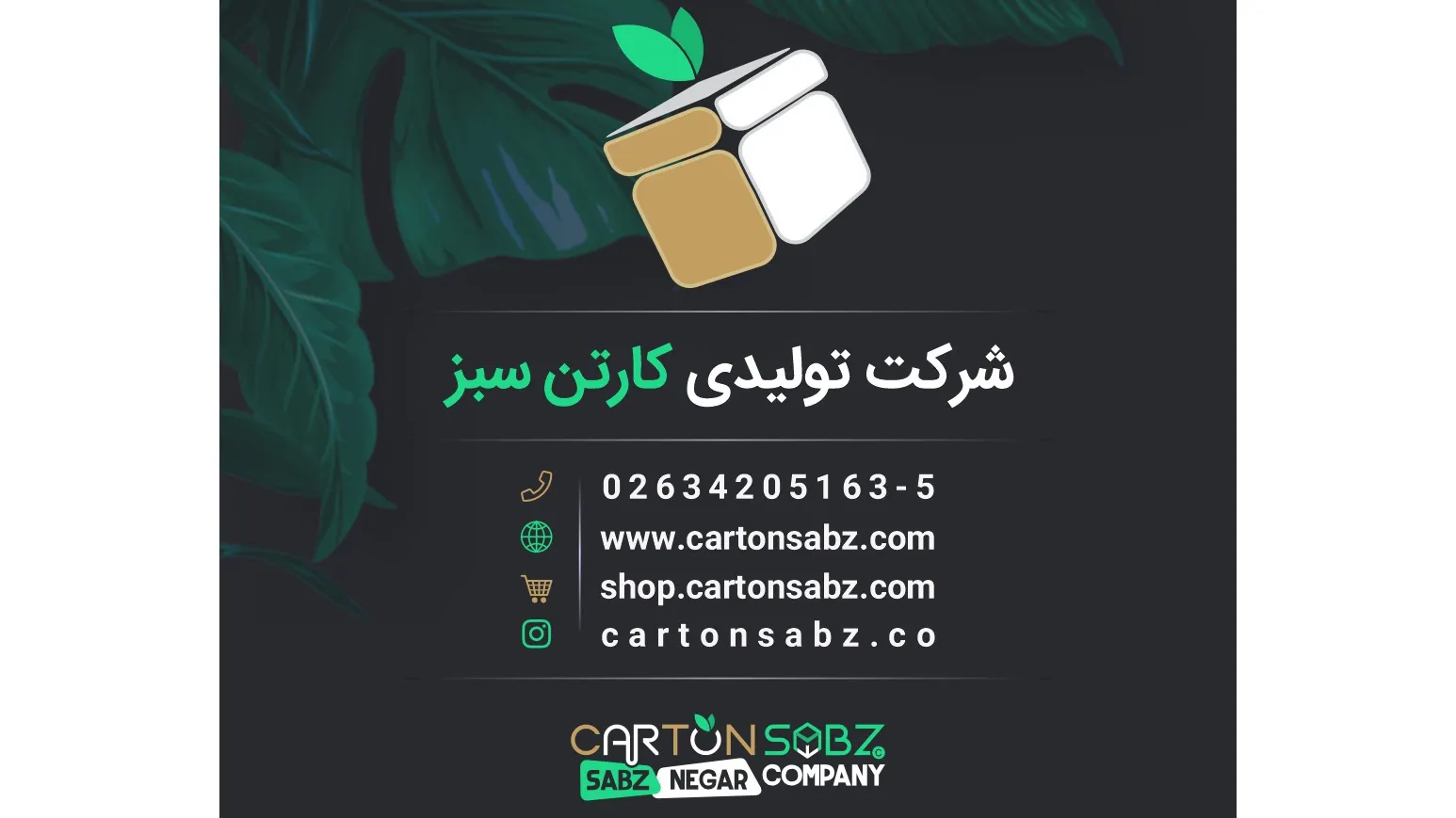 کارتن سازی کارتن سبز