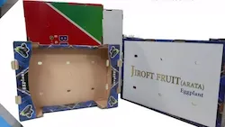 شهراد کارتن شیراز