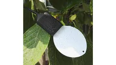 سنسورهای رطوبت برگ