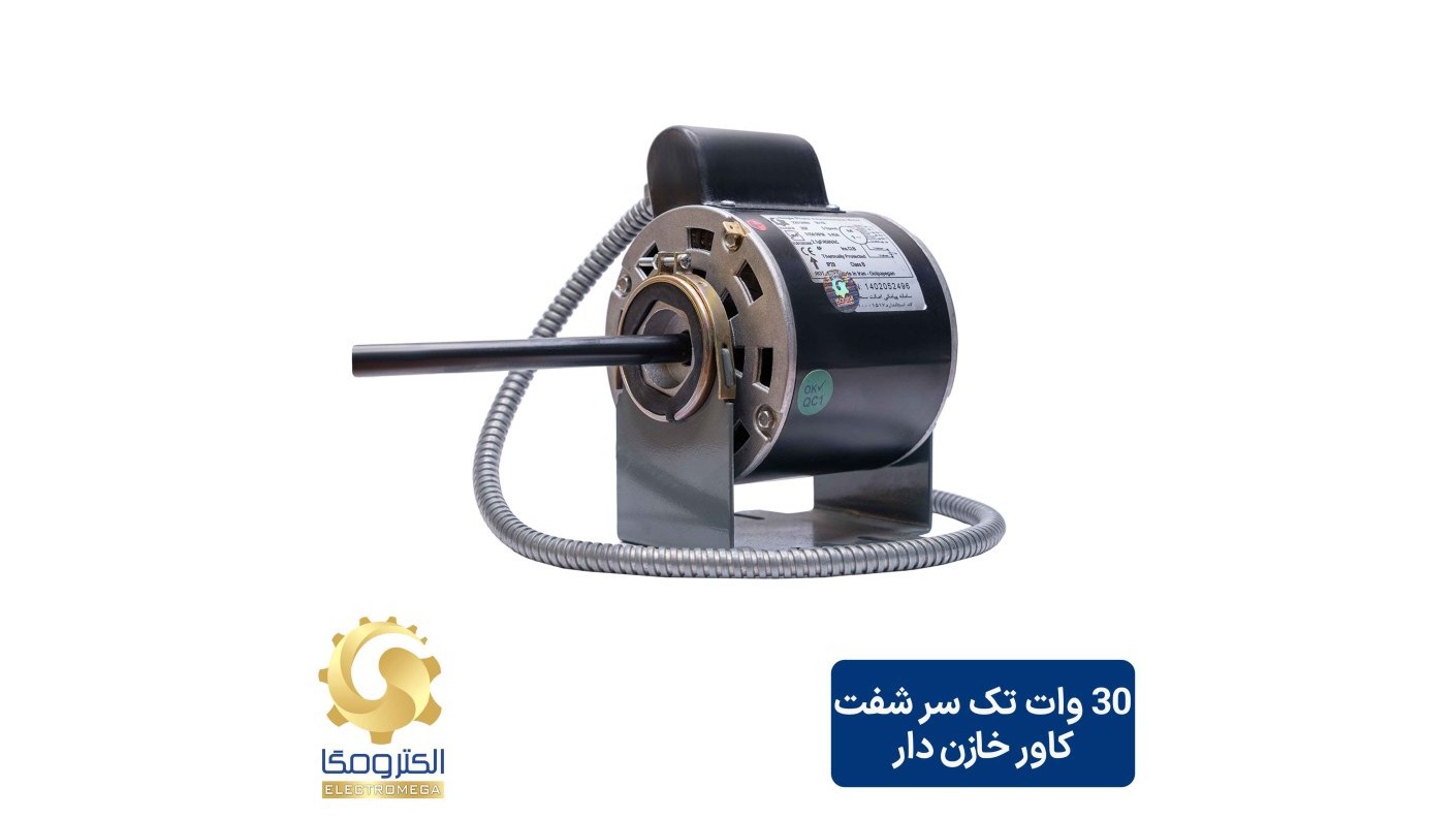 الکترو موتور گلپایگان آریا (الکترومگا)