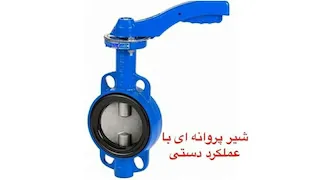 شیرهای پروانه ای