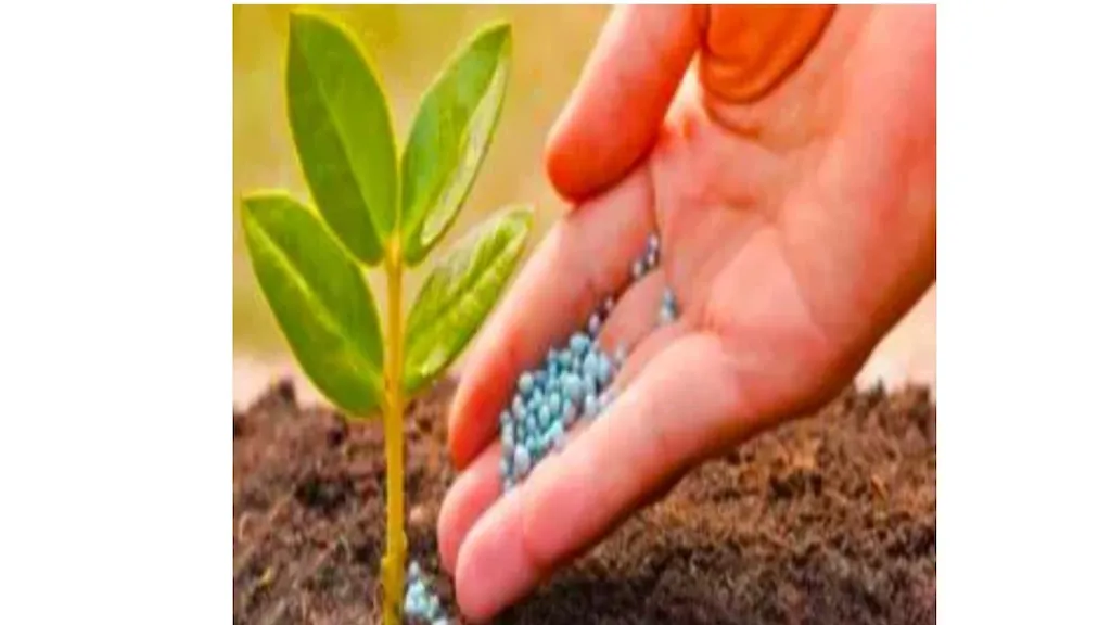 خدمات کشاورزی خرمی