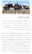 a2e062226c954e5b8df22f1f978a7b16