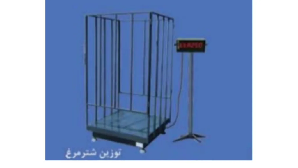 توزین شتر مرغ