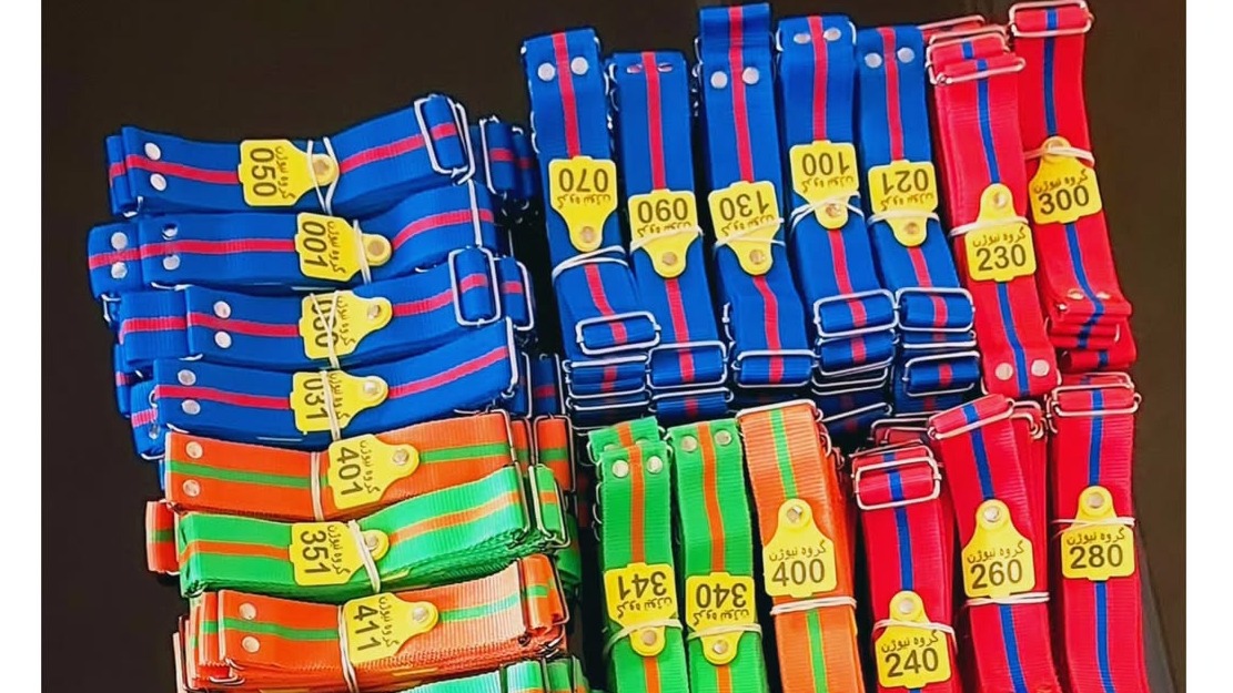 ری دام گستر گیتی