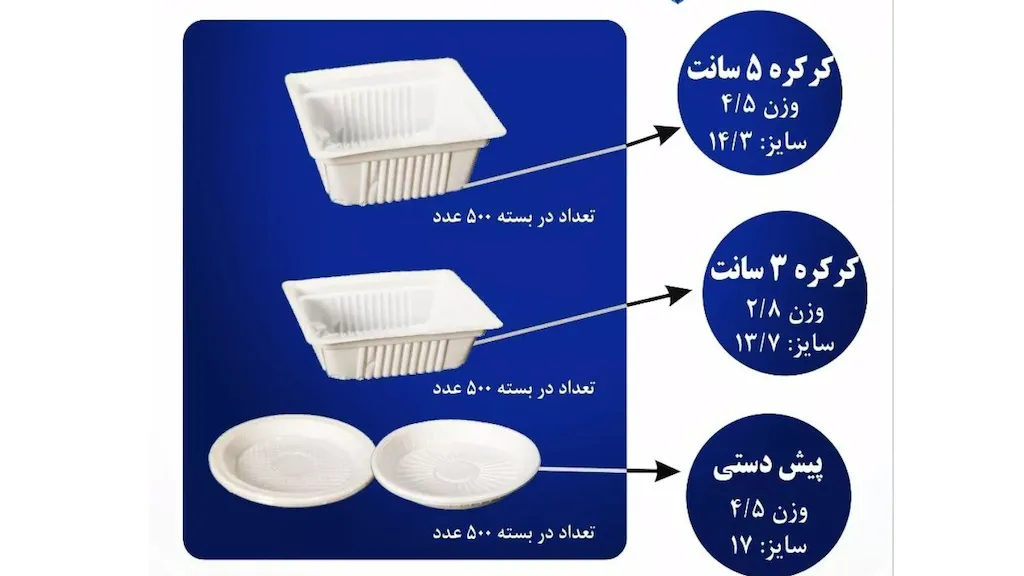 پیندوپلاست