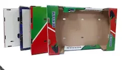 شهراد کارتن شیراز