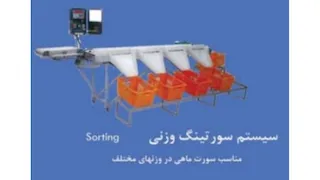 سورتینگ وزنی ماهی