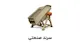 ماشین سازی الیگودرز