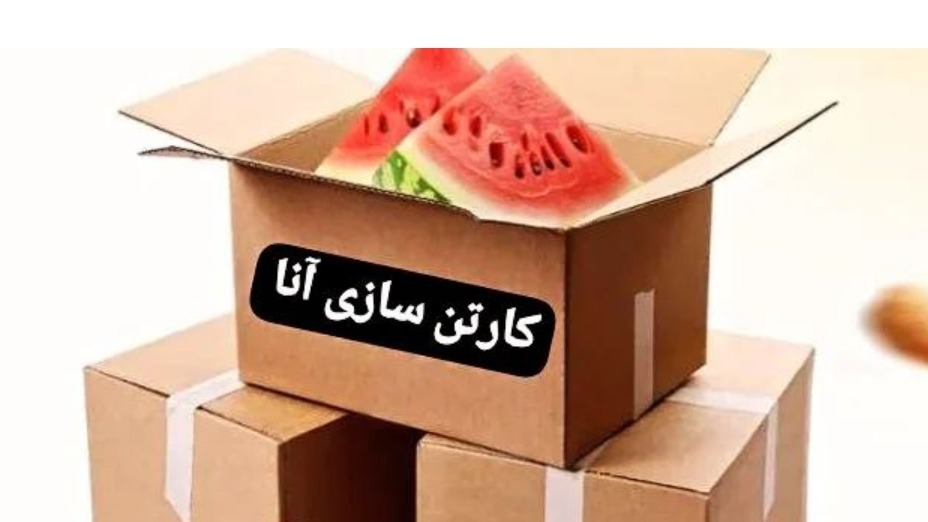 کارتن سازی آنا