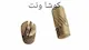 کوشا ونت