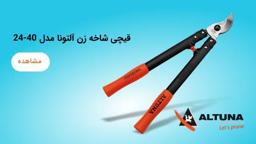 پرشین پارس هخامنش